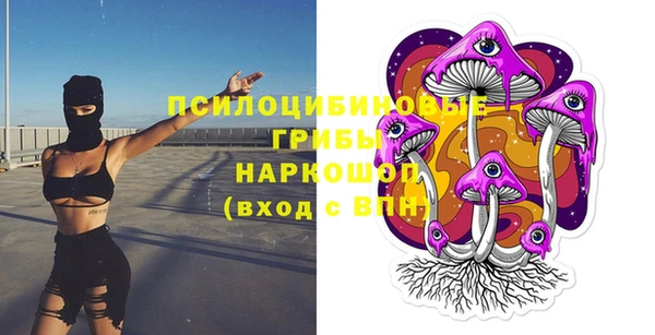МДПВ Алзамай