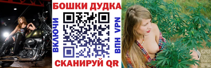 Купить где  Алушта  Каннабис сатива 